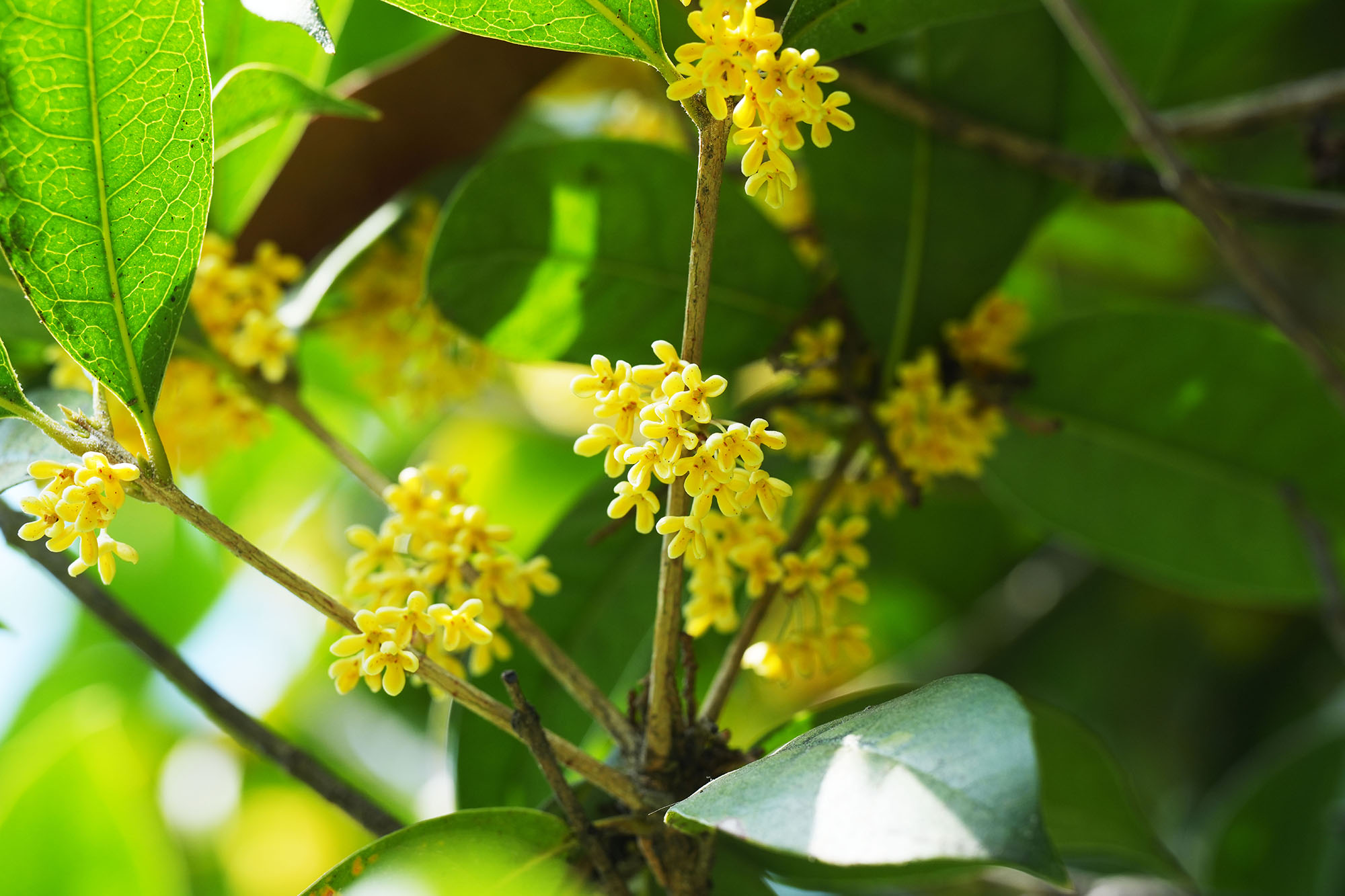 DB电竞·(中国区)官方网站